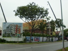 Palm Vista (D15), Condominium #1179772